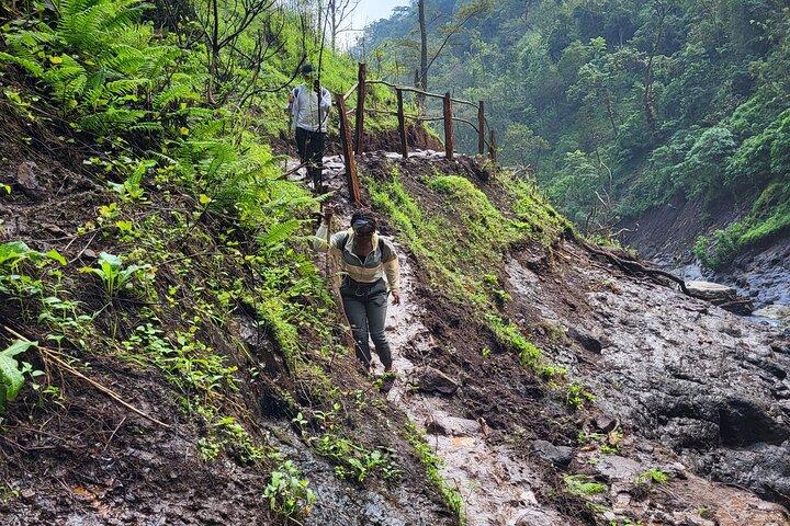 Explore Materuni Waterfalls and Coffee 1 Day Tour