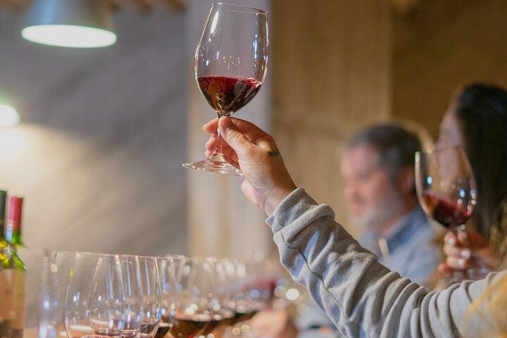 Privat Maipo Valley De Luxe vintur