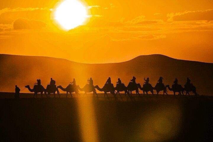Agafay Adventure: Quad, Camel, Dinner & Pool