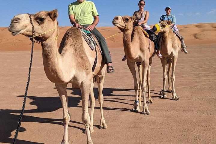 Desert Wonder e Oasi Wadi Bani Khalid