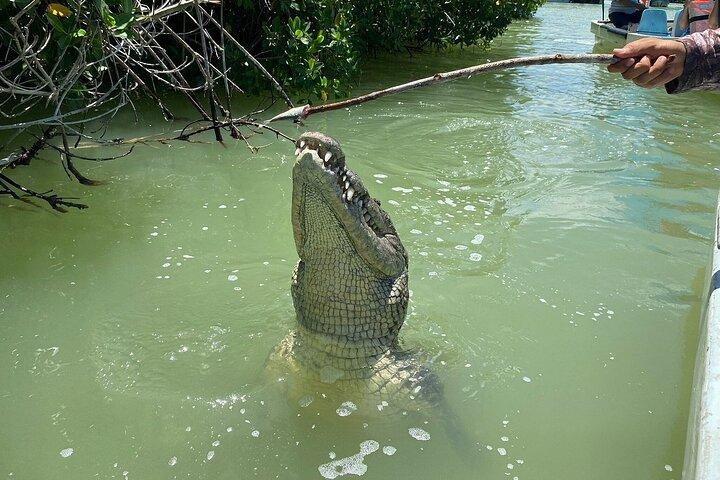 Rio Lagartos: Private Bootstour