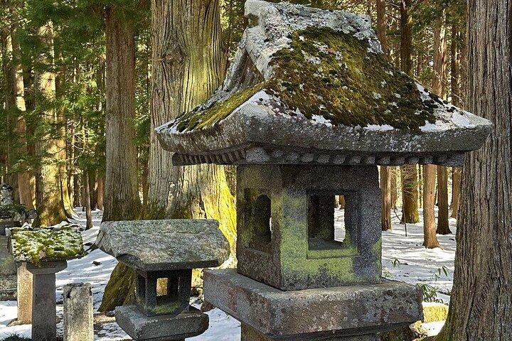 Tokyo Till Mt Fuji privat dag anpassningsbar tur på Engelska
