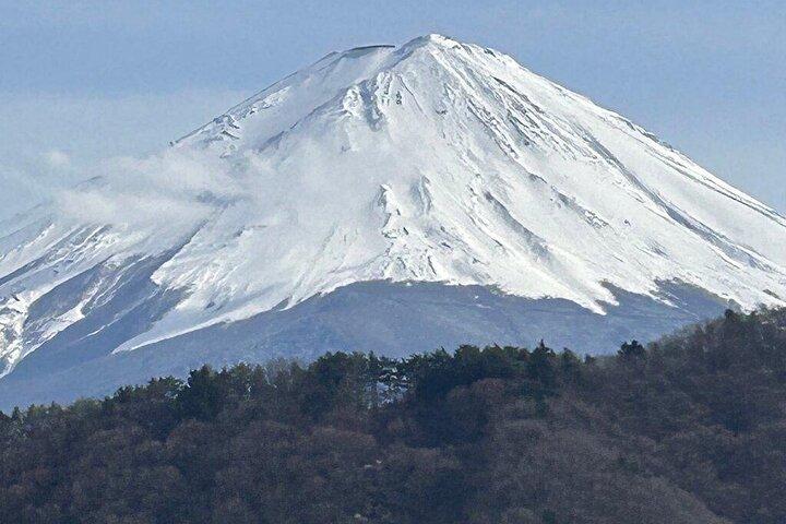 Tokyo Till Mt Fuji privat dag anpassningsbar tur på Engelska