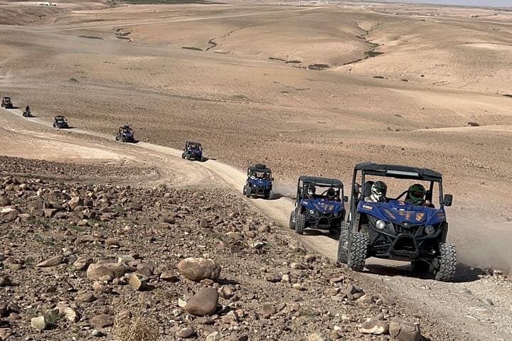 Dinner Show with Buggy Ride and Camel in Agafay Desert