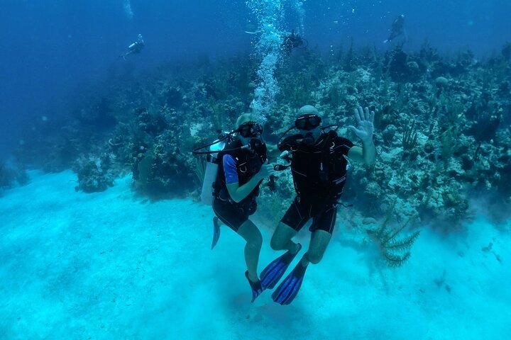 Belize Barrier Reef Two Tank Dive Experience / San Pedro Stadt