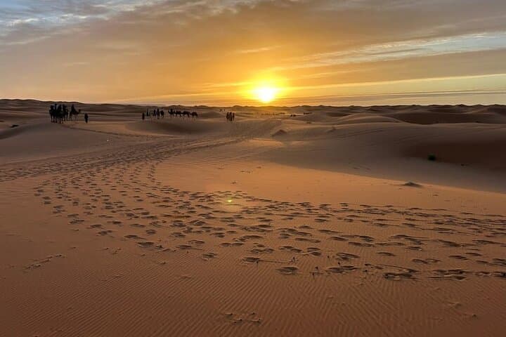 Marrakech to Sahara 3-Day Desert Safari Tour