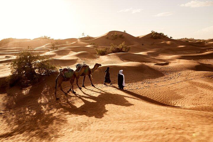 3-dages Merzouga Desert Tour fra Fez
