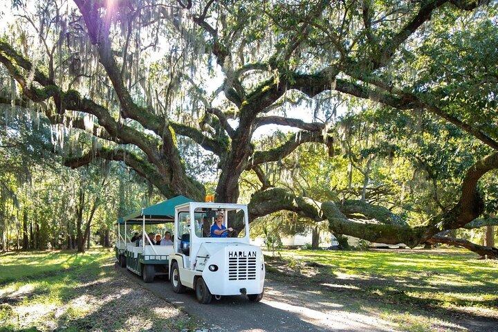 Excursion d'une journée à Magnolia Plantation avec transport