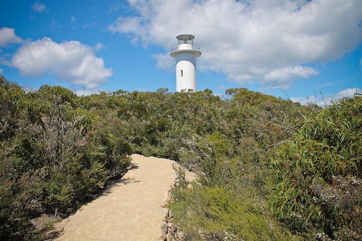 Een dag in Wineglass Bay - Launceston naar Hobart