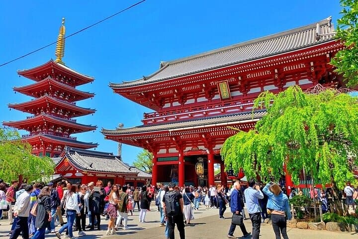 Explore Tokyo’s History on Foot Asakusa Kappabashi and Ueno