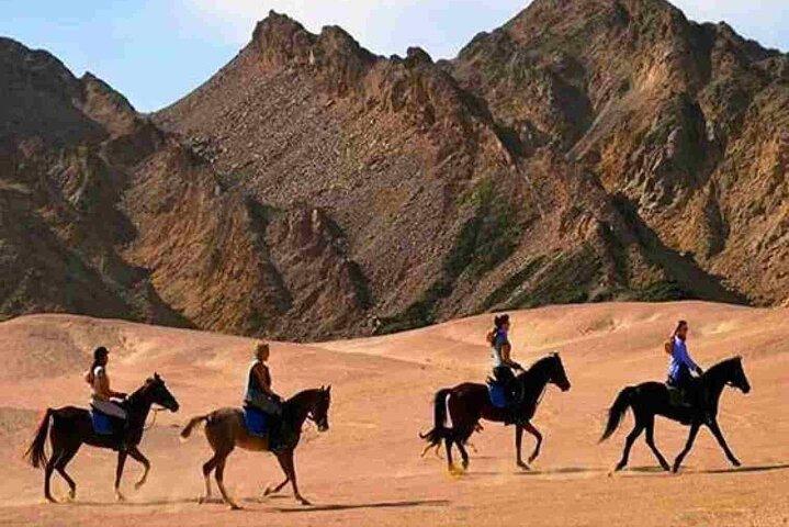 3 timers ridning i Hurghada