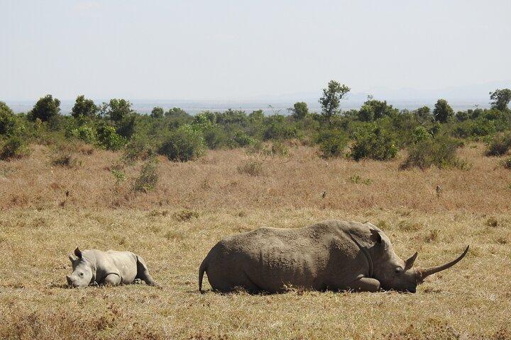 Hoteller i nærheden af Great Migration Maasai Mara