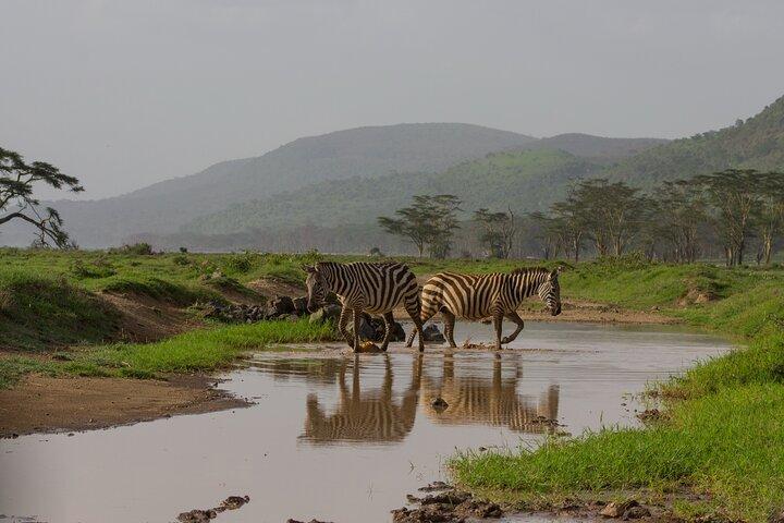 Safari privado de 3 días en Masai Mara