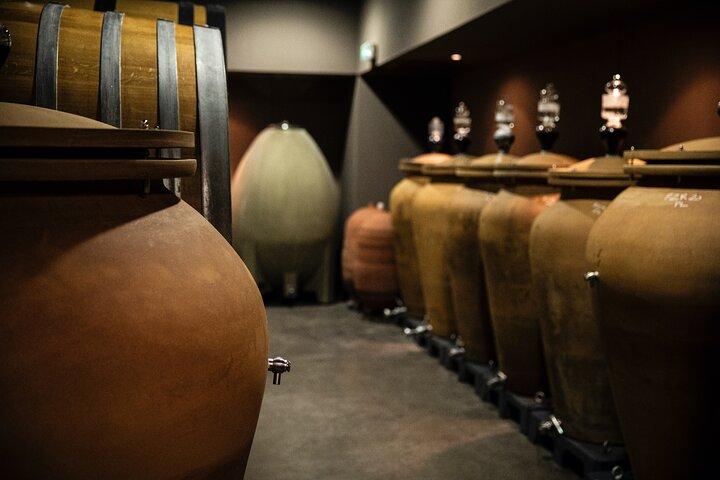 Château de Fieuzal, Pessac-Léognan : Visite et Dégustation