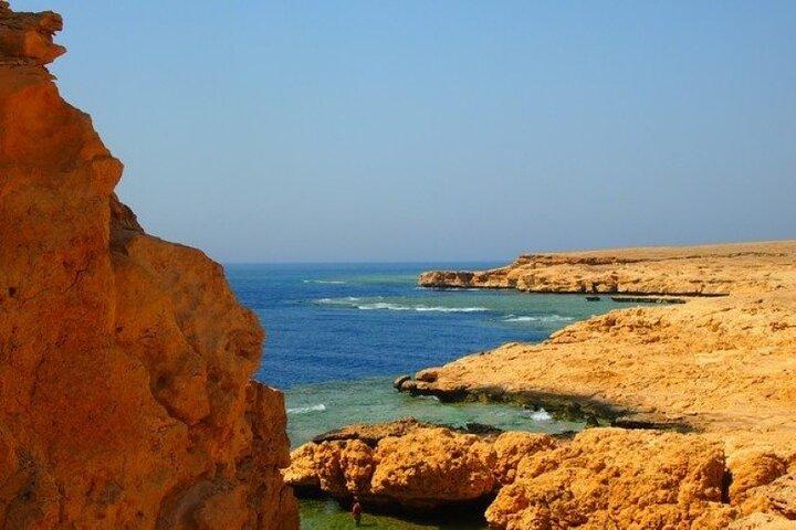 Excursão privada de meio dia Ras Mohamed - Sharm El Sheikh