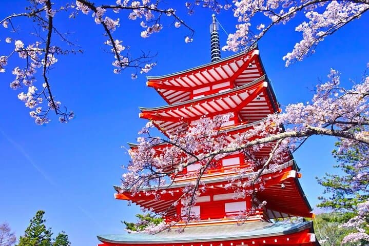Mt Fuji Day Tour: Chureito Pagoda, Lake Kawaguchi & Oshino Hakkai