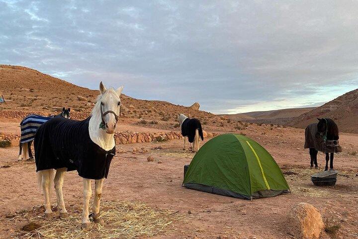 Heldagsäventyr med fyrhjuling - Ait Ben Haddou