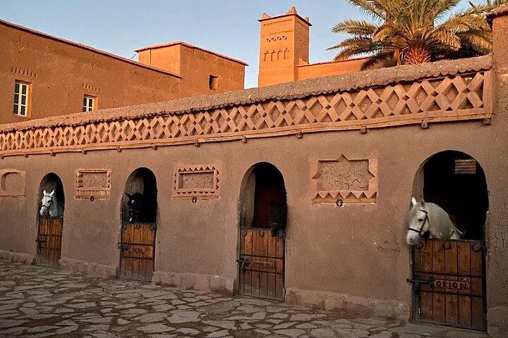 Heldagsäventyr med fyrhjuling - Ait Ben Haddou