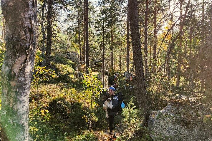 Rovaniemi : Insider Summer Hiking & Caves Tour Kätkävaara