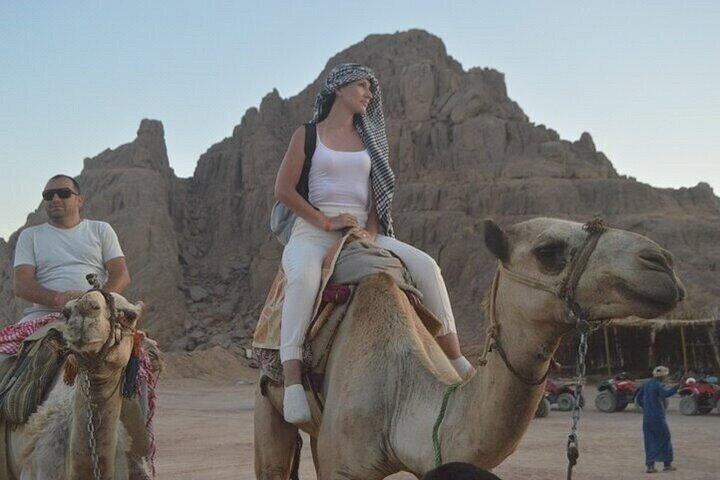 Hurghada - Safari ATV quad cykel med kamel ridning og overførsler