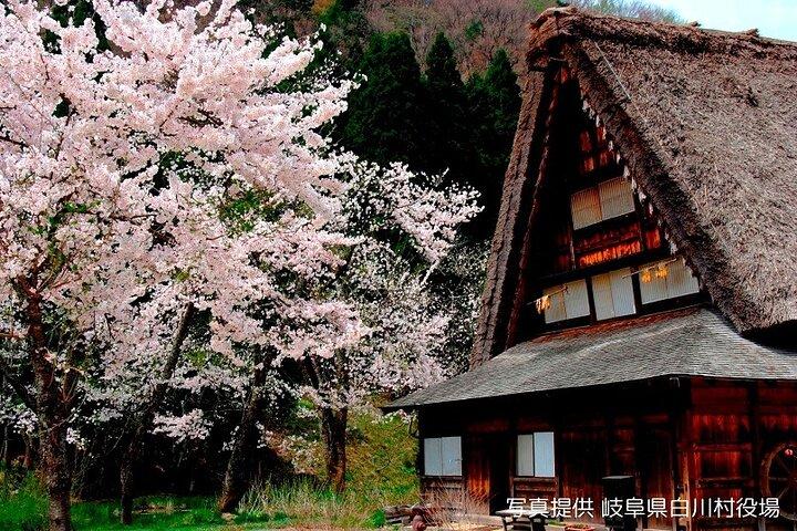 Shirakawago und Takayama 2 Tage Tour von Nagoya