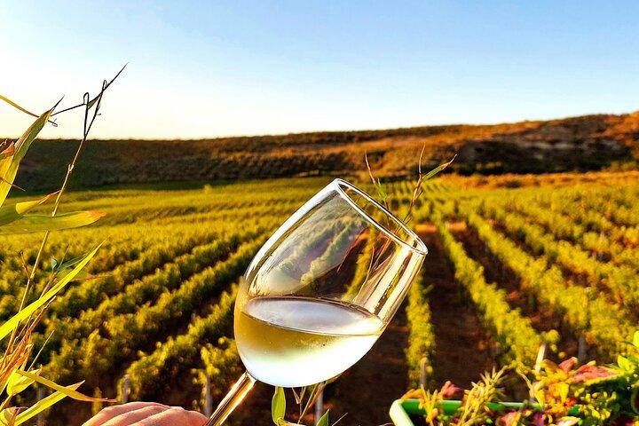 Durrës Rural Vineyard Experiência com vinho e alimentação
