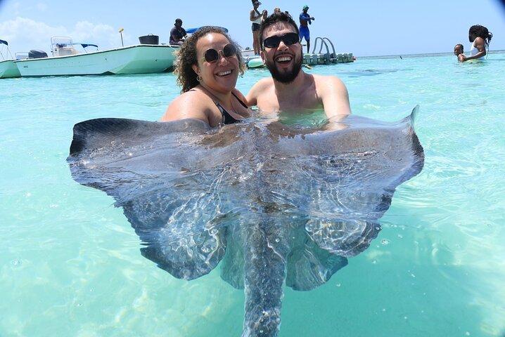 Het beste van Antigua : Stingray City, strand, lunch & eilandtour