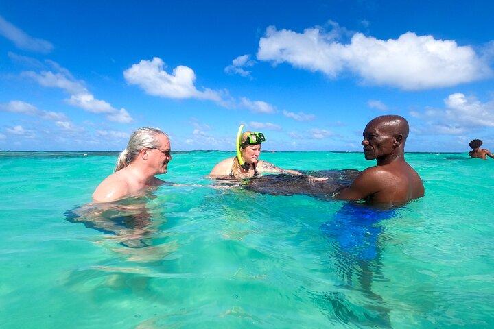 Het beste van Antigua : Stingray City, strand, lunch & eilandtour
