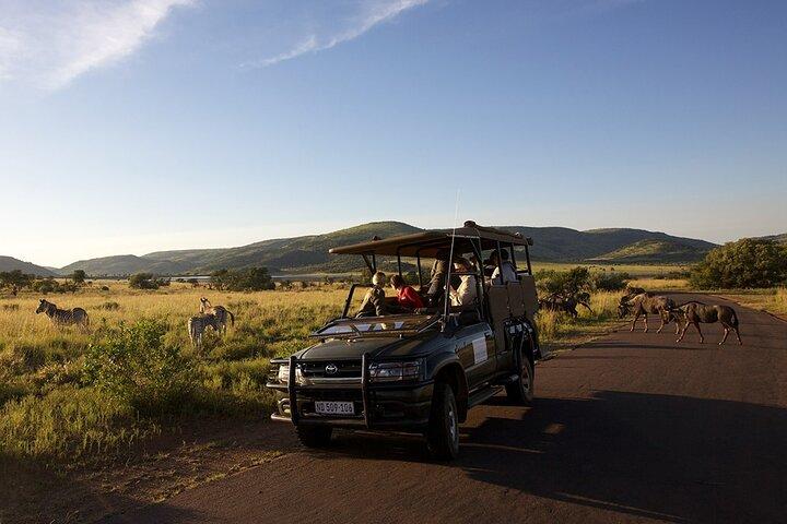 Hoteller i nærheden af Pilanesberg Safari at Shepherd's Tree Game Lodge