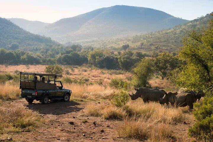 4 dagars Pilanesberg Safari på Bakubung Lodge