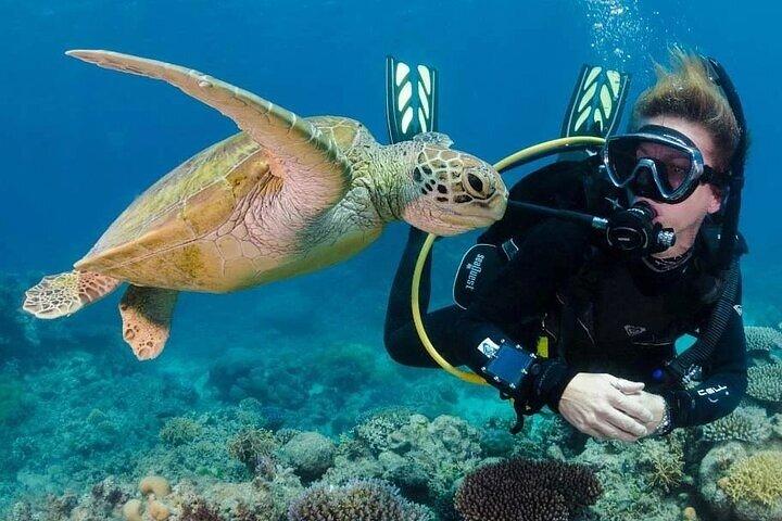 PADI Open Water Diving Kurs Mit Transfer : Marsa Alam