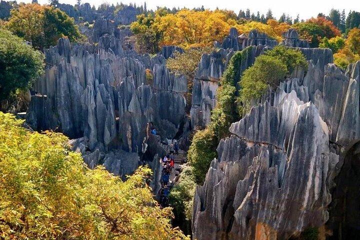 Excursão All Inclusive de Kunming para Stone Forest, Flower and Bird Market