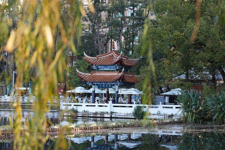 Excursão All Inclusive de Kunming para Stone Forest, Flower and Bird Market