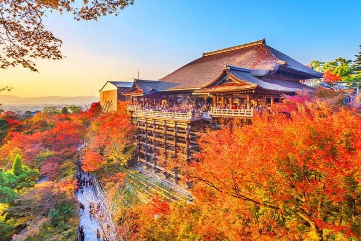 Kiyomizu Temple, Fushimi Inari Taisha: Kyoto & Nara Park Day Tour