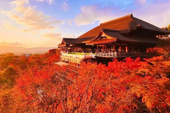 Kiyomizu Temple, Fushimi Inari Taisha: Kyoto & Nara Park Day Tour