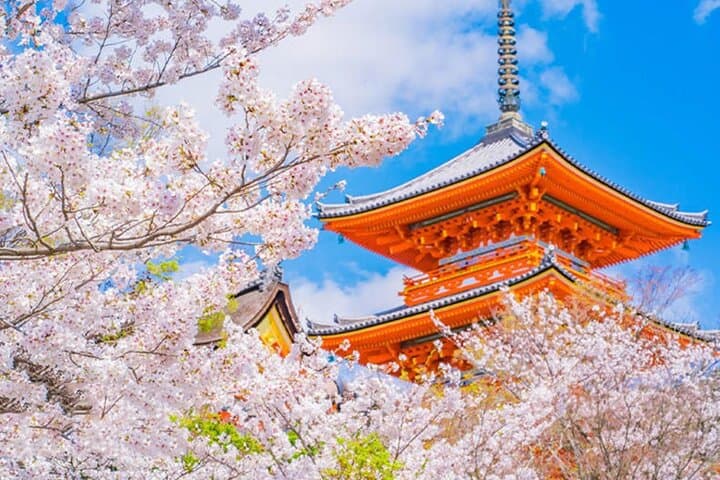 Kiyomizu Temple, Fushimi Inari Taisha: Kyoto & Nara Park Day Tour