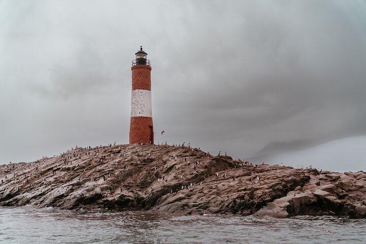 Randonnée sur l'île Martillo et navigation sur le canal de Beagle -