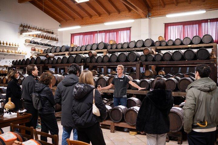 Bologna Food Valley Small-Group : Fabriksprovning, vingård och lunch