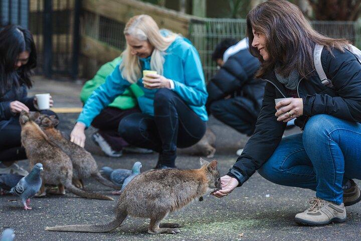 Exclusieve Blue Mountains Wildlife en Bushwalk Tour vanuit Sydney