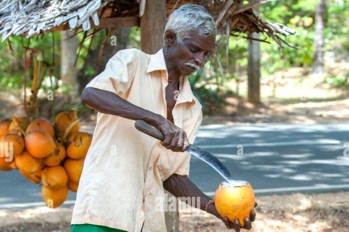 Galle & Bentota Day Tour from Negombo or Colombo