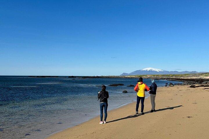 Tour privato della penisola di Snaefellsnes