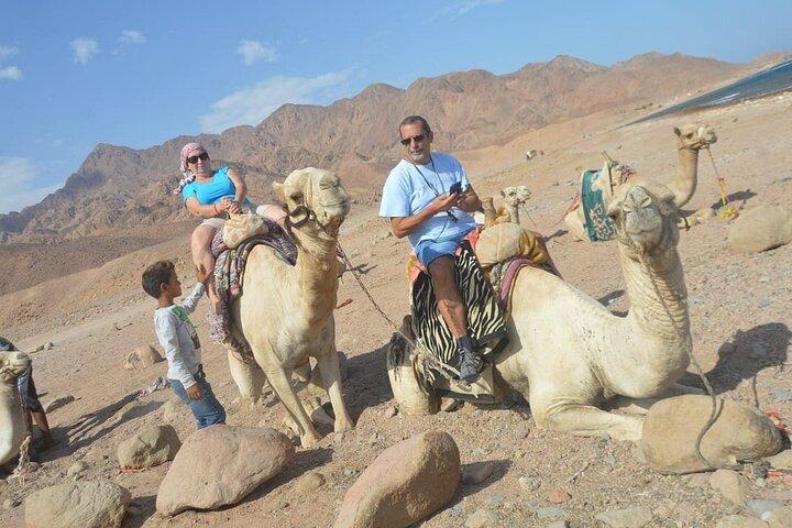 Quad bike ATV Sharm Elshikh Tramonto