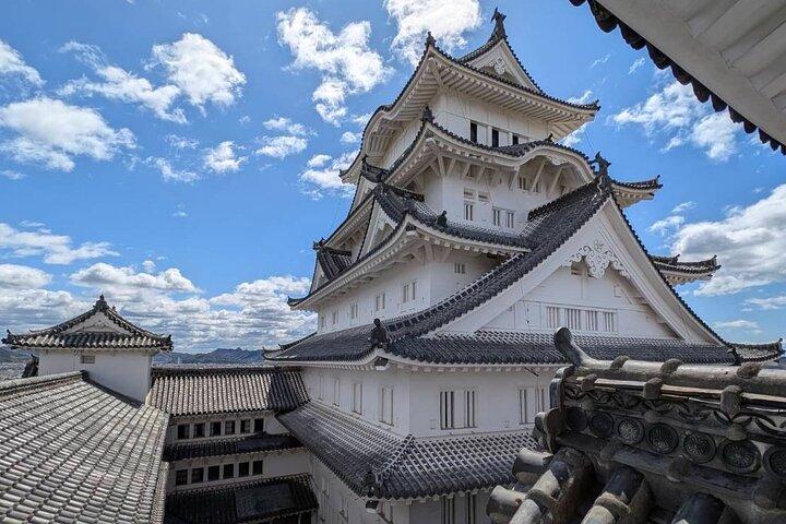 Kobe-Himeji Tilpas tur med pickup og drop off