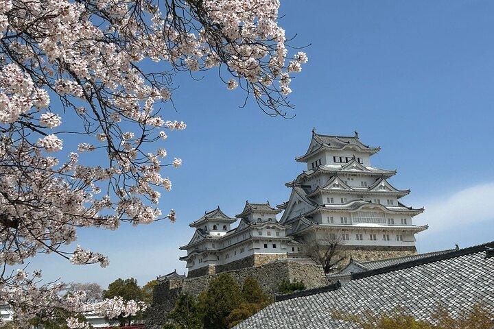 Kobe-Himeji Tilpas tur med pickup og drop off