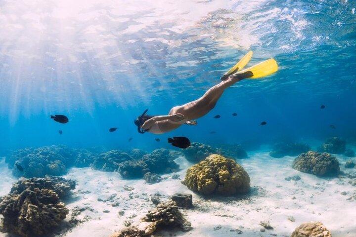 Gili Trawangan : Privat snorkling med 3 platser eller 4 platser