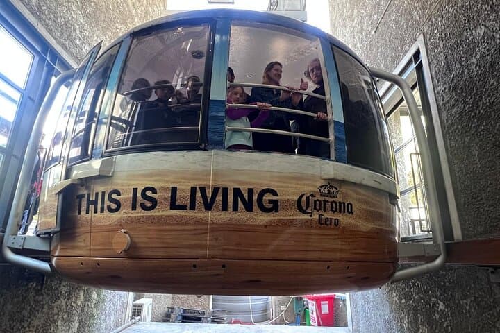 Cape Town Table Mountain Tour – Tickets & Hotel Transfers