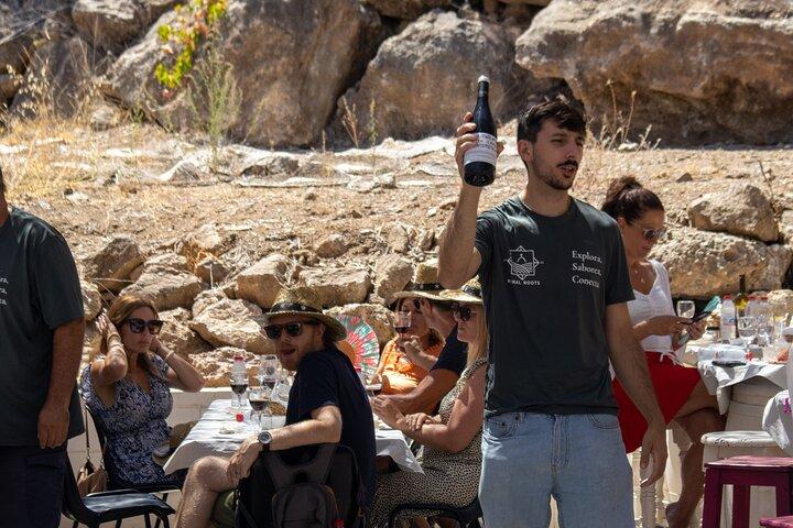 Málaga Small‑Group Wine Tour – Álora Castle Views & 4 Tastings