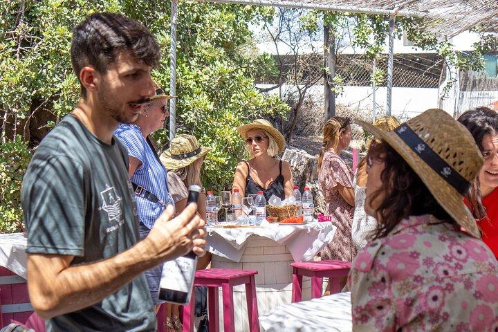 Málaga Small‑Group Wine Tour – Álora Castle Views & 4 Tastings