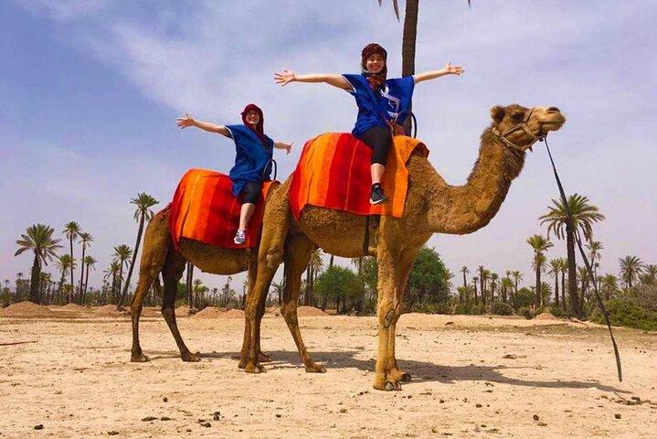 Quad and camel ride in the desert of the Palmeraie Marrakech