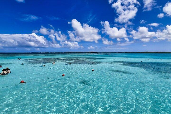Família-Friendly Stingray Adventure em Antigua – Perfeito para crianças
